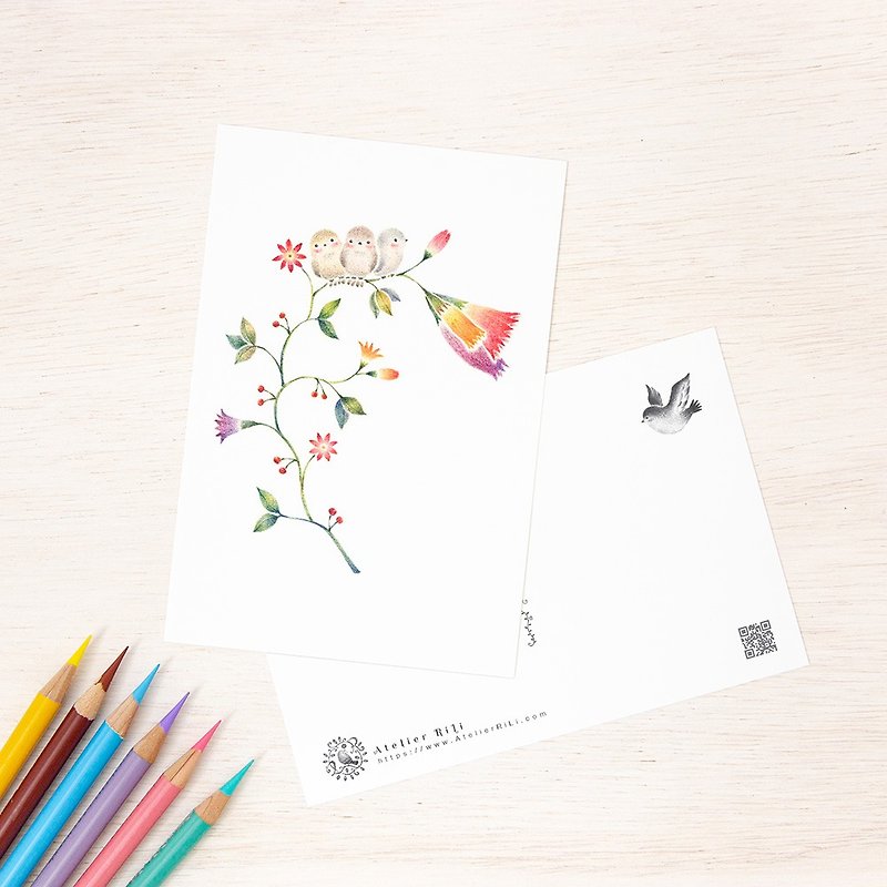 5枚セット。絵本のような。ポストカード "三羽の小鳥と草花" PC-117 - 卡片/明信片 - 纸 粉红色