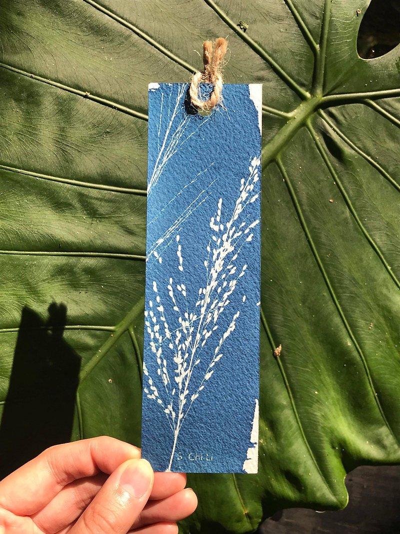 S. Chi Li 植物蓝晒书签-素雅野草系列 - 书签 - 纸 蓝色