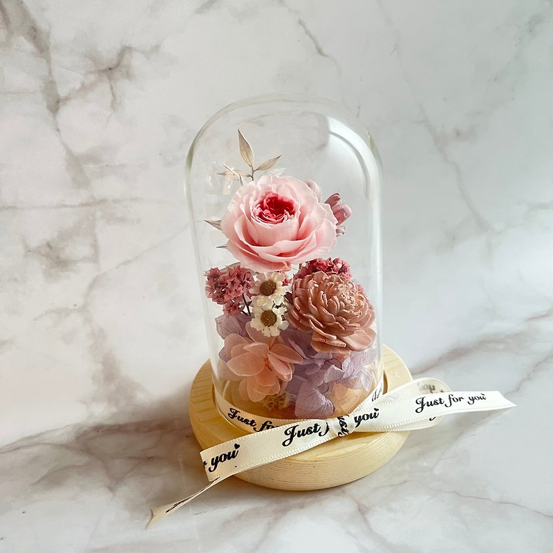 永生花玻璃盅【双色奥斯汀玫瑰花盅】玻璃罩 扩香索拉花 瓜子花 - 干燥花/捧花 - 植物．花 粉红色
