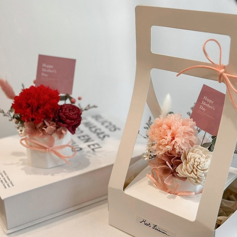 【遇见恒久】母亲的礼物永生康乃馨扩香盆 母亲节 共3款 含手提盒 - 干燥花/捧花 - 植物．花 