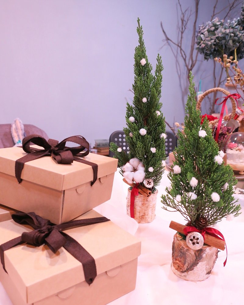 24H出货▫One Flower▫ 来树下交换礼物吧 干燥花圣诞树 - 摆饰 - 植物．花 绿色
