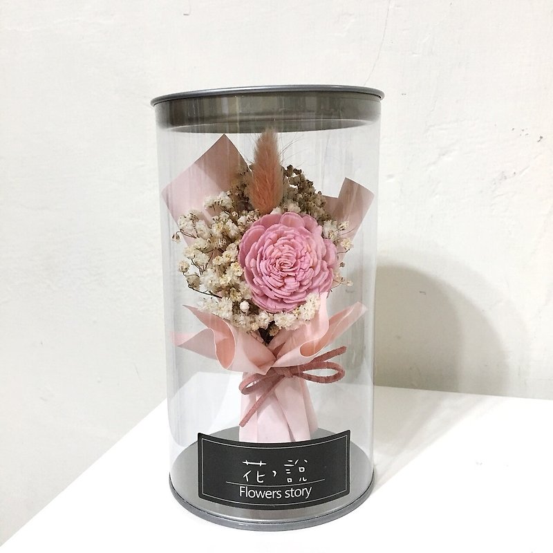 瓶中花粉色太阳玫瑰*粉色-含盒 - 植栽/盆栽 - 植物．花 粉红色
