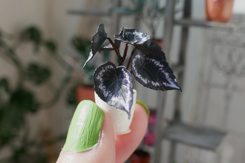 1:12 miniature plants | Begonia Helen Lewis - 其他 - 纸 黑色