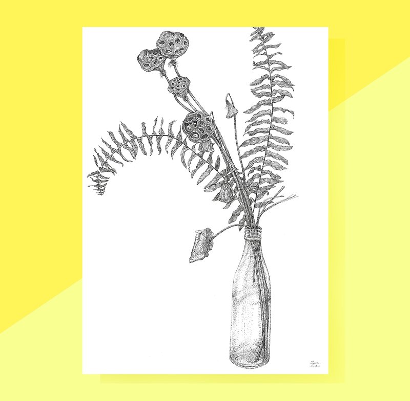 原创手绘艺术复制画 / 卡片 - 肾蕨与莲蓬 Tuberous Sword Fern & seedpod of the lotus illustration - 卡片/明信片 - 纸 透明