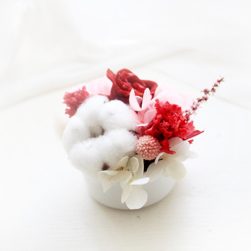 午茶派对棉花糖迷你桌花・白棉与迷你康乃馨花礼 - 干燥花/捧花 - 植物．花 红色