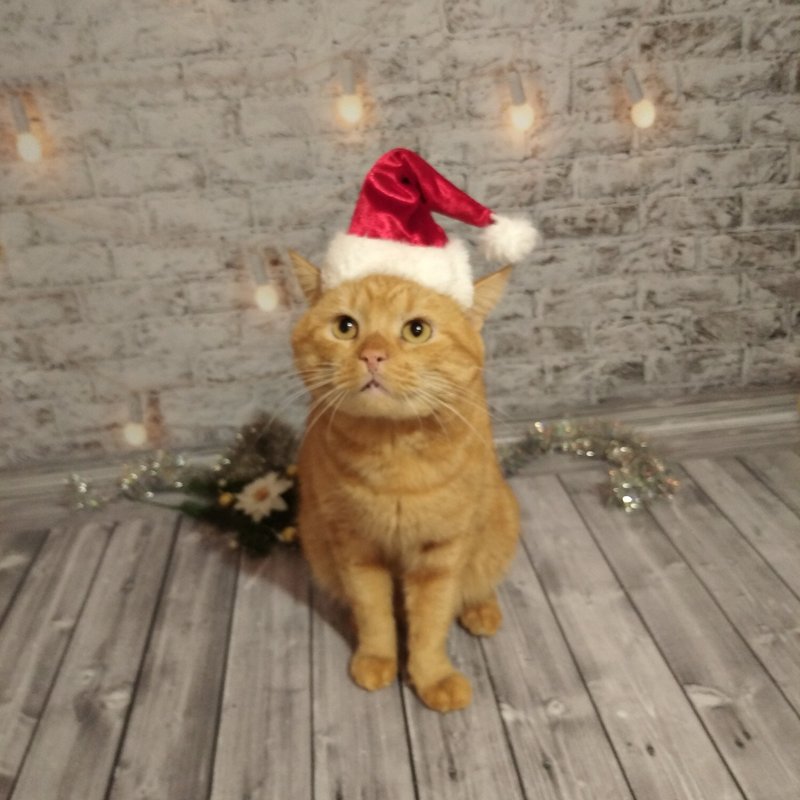 Red Velvet Santa Hat for Cat | Christmas Pets | Christmas Photo Prop - 衣/帽 - 其他材质 红色