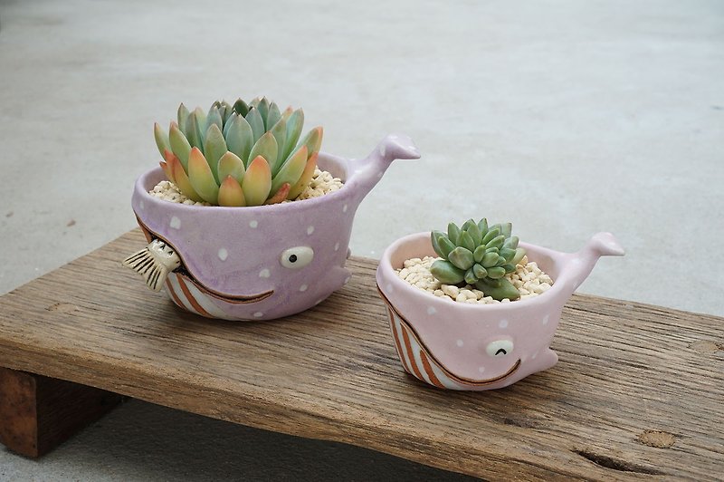 Whale pot , Whale plant pot , Handmade ceramics , pottery - 花瓶/陶器 - 陶 粉红色