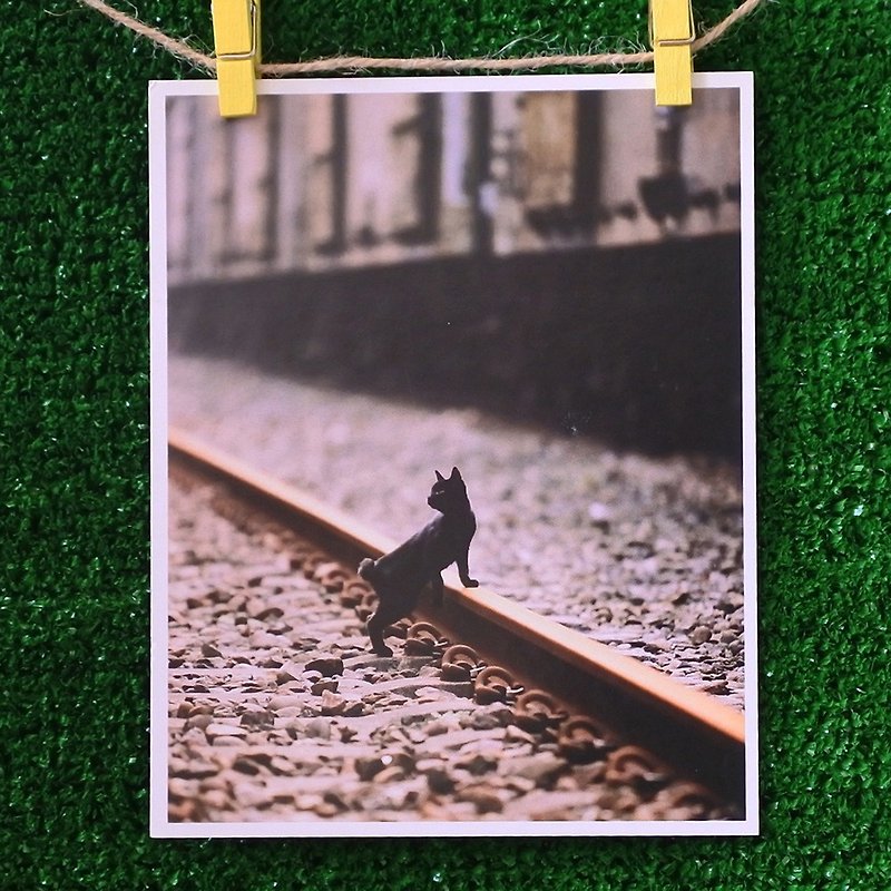 3猫小铺猫咪写真明信片(摄影:猫夫人) – 铁道怀旧之旅 - 卡片/明信片 - 纸 
