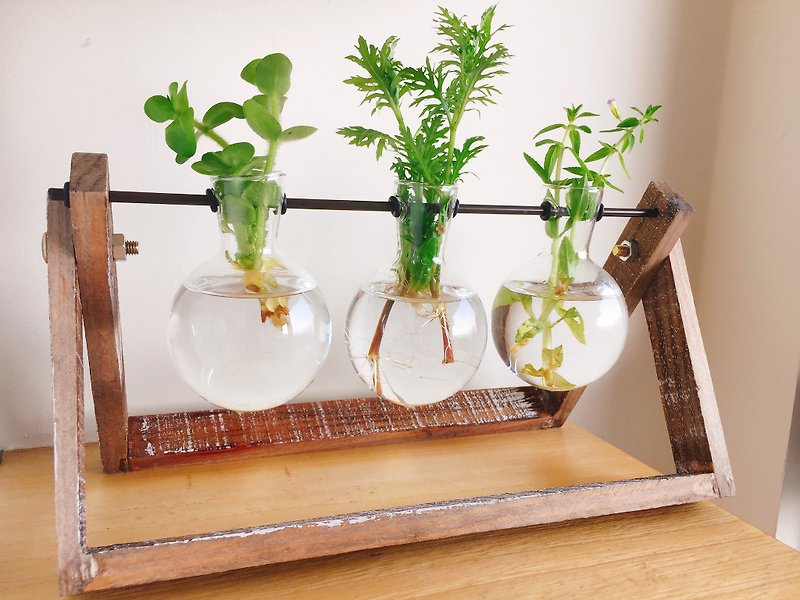 ［纯自然］DIY组 绿意盎然 木架 玻璃瓶 水生植物 盆栽 植物 送礼 疗愈 小物 绿化造景 摆饰 - 摆饰 - 木头 绿色