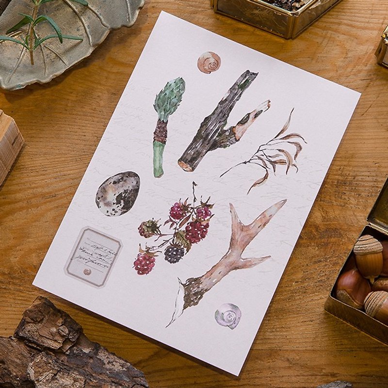 鹿角与野莓 森林采集系列明信片 - 卡片/明信片 - 纸 多色
