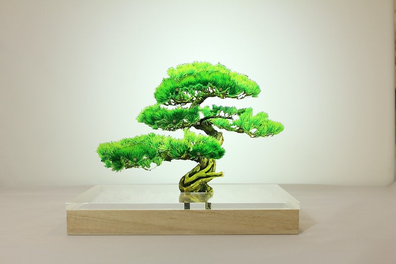 bonsai 松 Sサイズ - 摆饰 - 压克力 绿色
