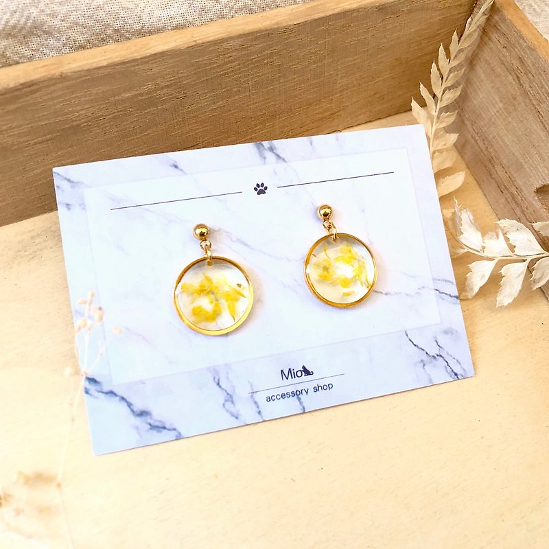 【 花 满月 】淡玉子色款 干燥花系列耳环 (可改耳夹) - 耳环/耳夹 - 其他材质 黄色