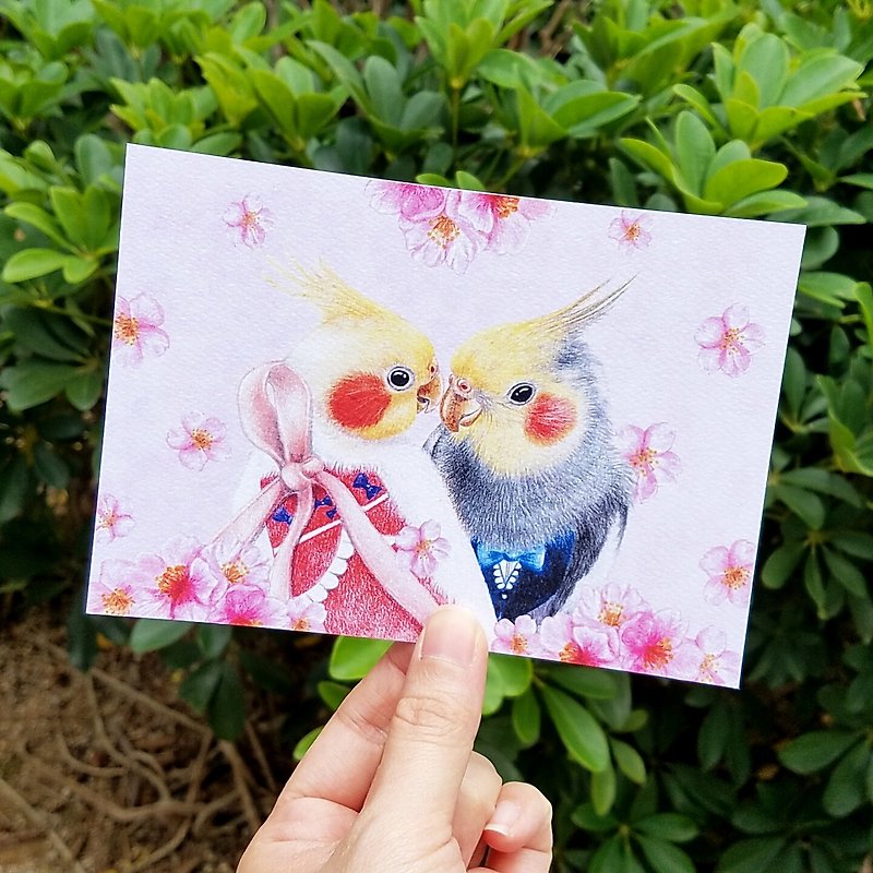 明信片- 鸡尾鹦鹉与樱花 - 卡片/明信片 - 纸 粉红色