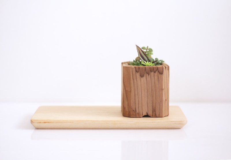 森林一方 长板实木花器组 (一盆一板/不含植物) - 花瓶/陶器 - 木头 咖啡色