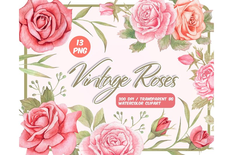 Watercolor vintage roses clipart - Dusty Pink flowers PNG - 插画/绘画/写字 - 其他材质 粉红色