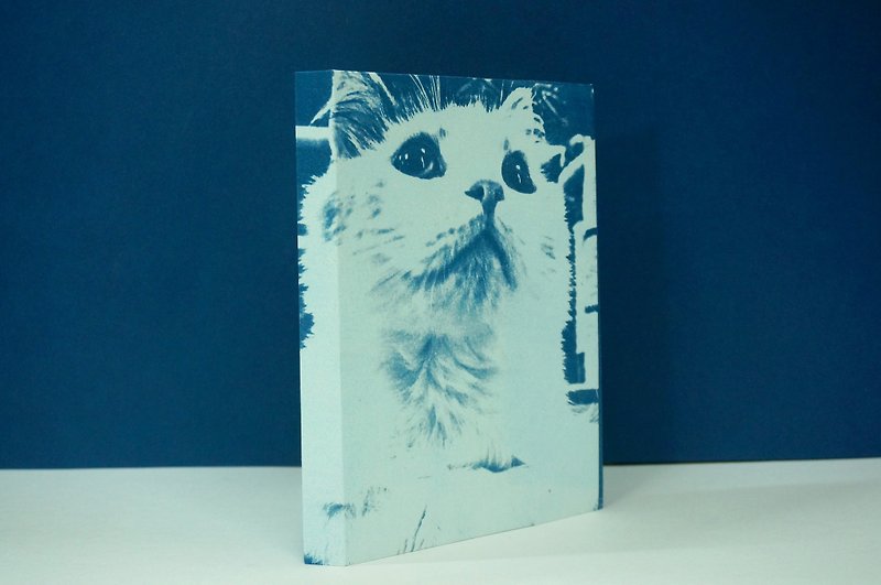 小猫 毛毛 白猫 蓝晒 拍照   手帐 笔记本 手工 缝线 线装 - 笔记本/手帐 - 纸 