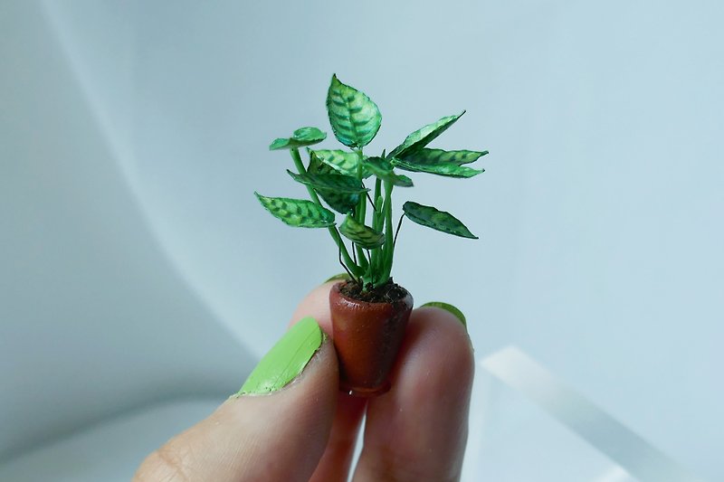 1:12 miniature plants | Calathea Leopardina