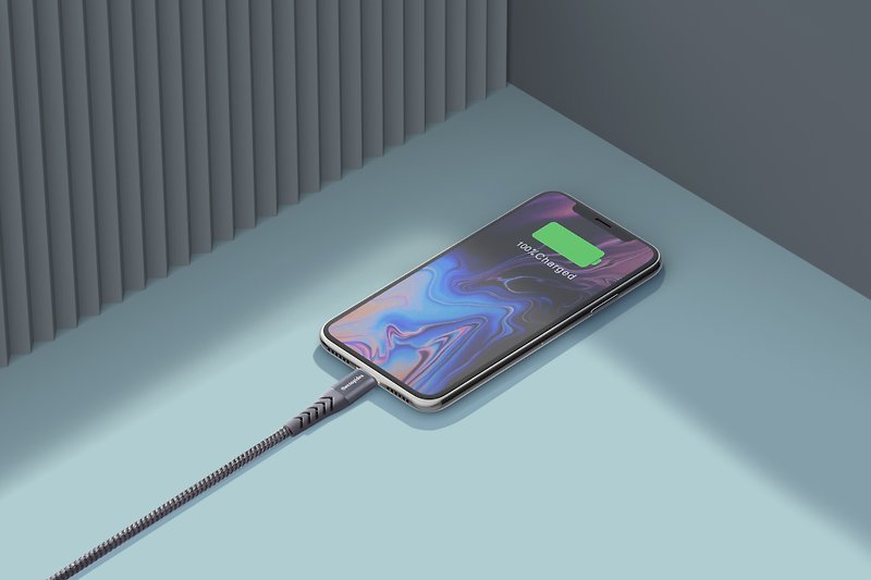 thecoopidea Lightning to USB-A 快速充电传输线(1.2M) - 灰色 - 充电宝/传输线 - 其他金属 