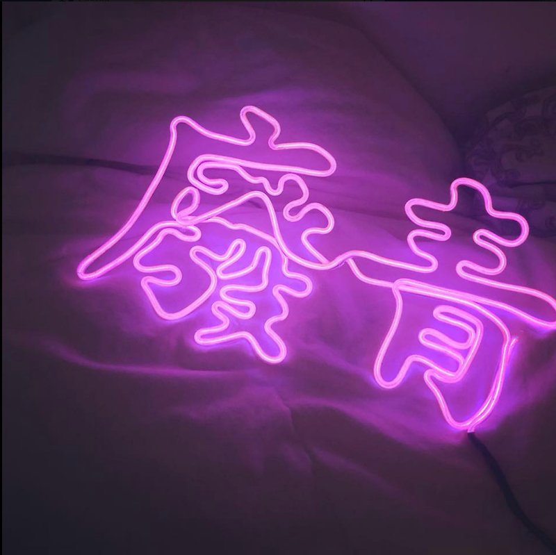 neonlite 定制霓虹文字图案灯 /废青/ - 灯具/灯饰 - 塑料 粉红色