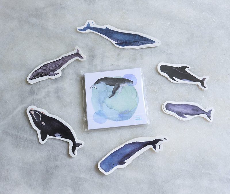 鲸豚雾面贴纸 全6种 抹香鲸 蓝鲸 - 贴纸 - 塑料 蓝色