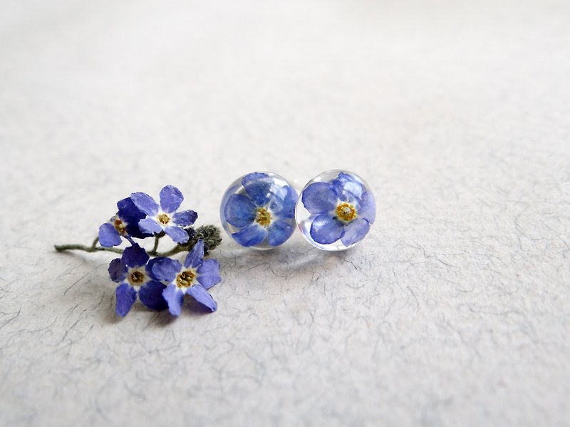 Forget-me-not earrings Studs Minimalist earrings Resin Flowers Nature Floral - 耳环/耳夹 - 植物．花 蓝色