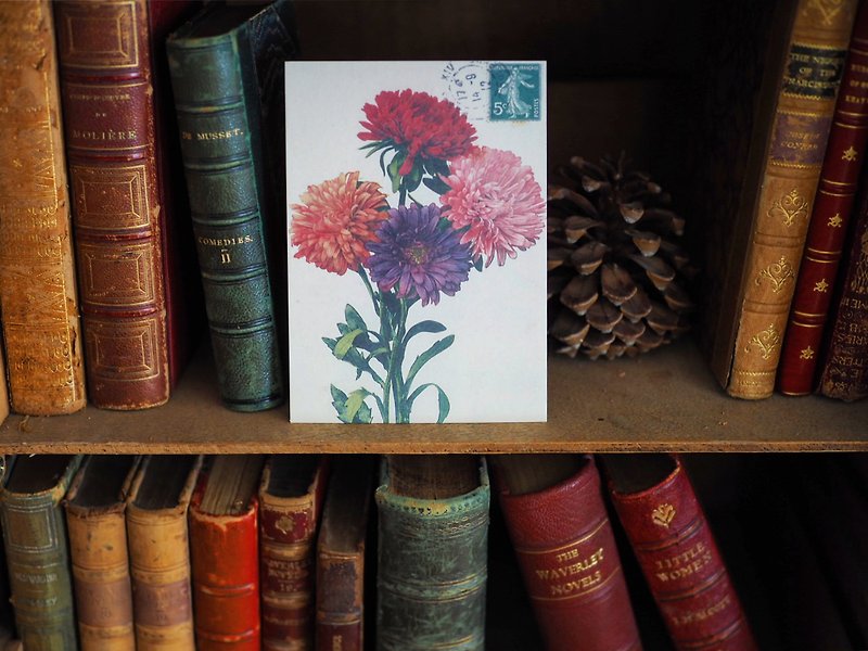 法国百年花卉 复刻版明信片 P款 - 卡片/明信片 - 纸 多色