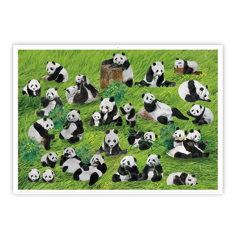 HACHOO--猫熊 Pandas garden - 卡片/明信片 - 纸 