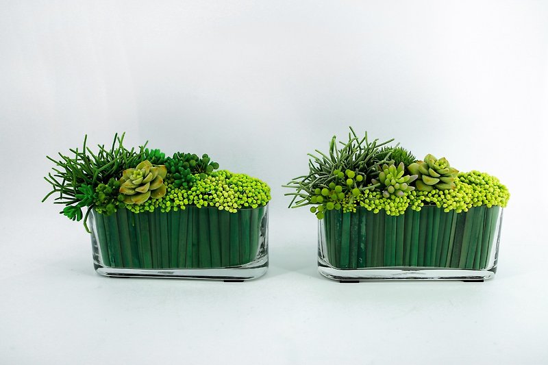 人造花饰-玻璃水竹叶多肉花饰 - 植栽/盆栽 - 其他材质 绿色