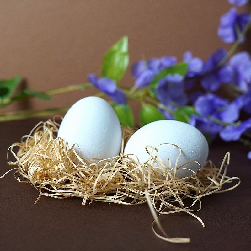 硅藻趣味蛋   去味 除臭 吸湿 仿真蛋  环保 重复利用 妈妈礼物 - 香薰/精油/线香 - 其他材质 白色