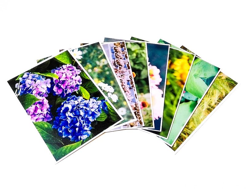 摄影明信片组(8枚) | 花草微风景 - 卡片/明信片 - 纸 多色