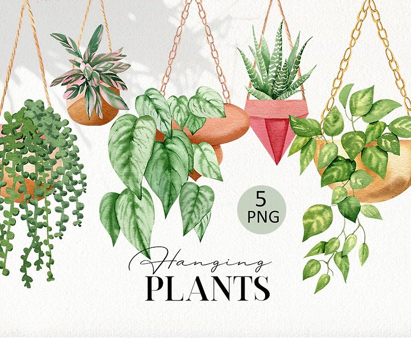Hangings plants clipart Watercolor house plants clipart png Potted plant png - 电子手绘真人画像/绘画/插画 - 其他材质 