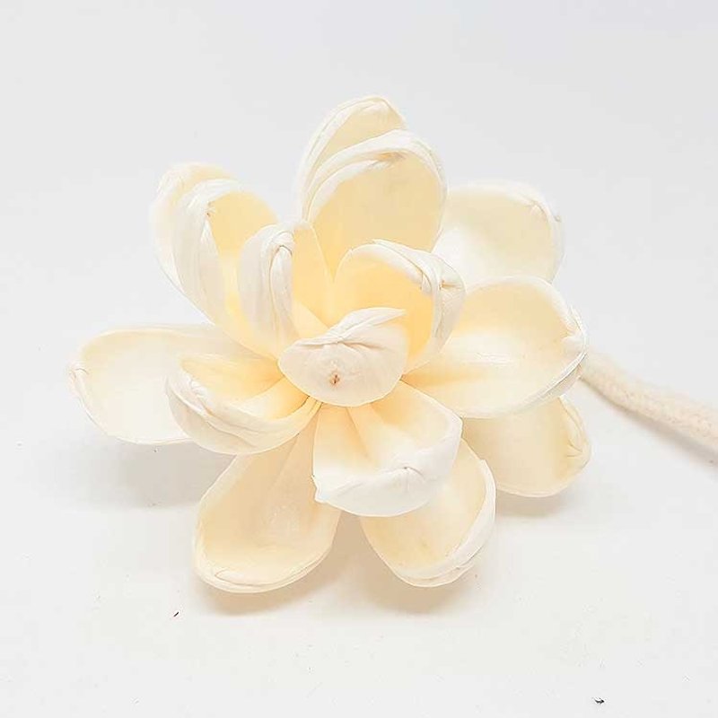 日本 Art Lab 经典瓶中花室内香氛 - 补充香氛花朵-中 - 香薰/精油/线香 - 植物．花 白色
