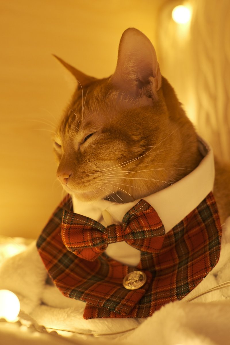 /圣诞限定/ 宠物订制皇室西装领/红绿格子  Royal suit collar - 衣/帽 - 棉．麻 红色