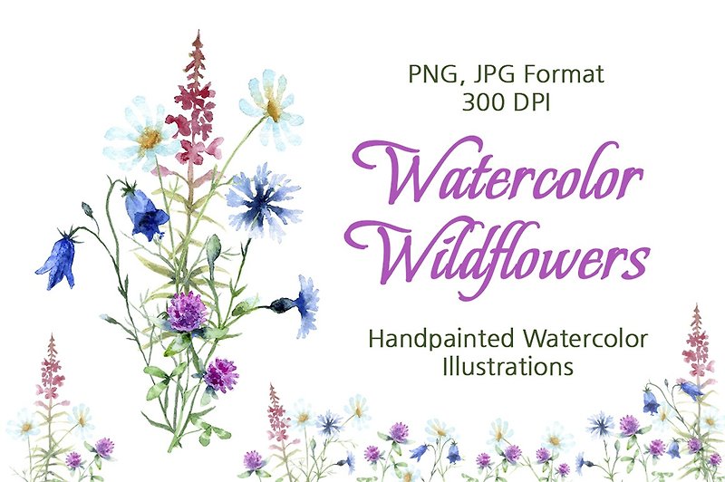 水彩野花剪贴画。无缝模式。数字下载。 JPEG、PNG