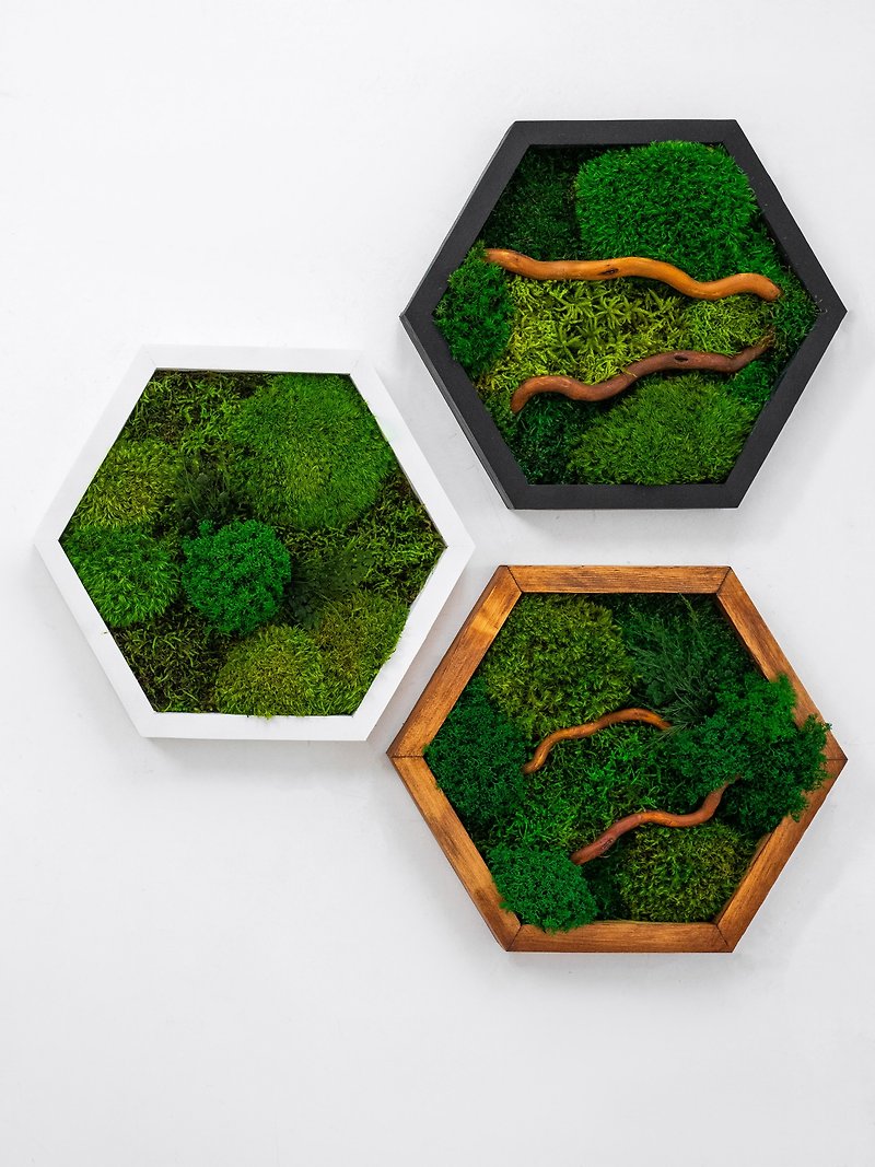 Moss wood wall art decor, eco decor, honeycomb wall art, moss green wood art