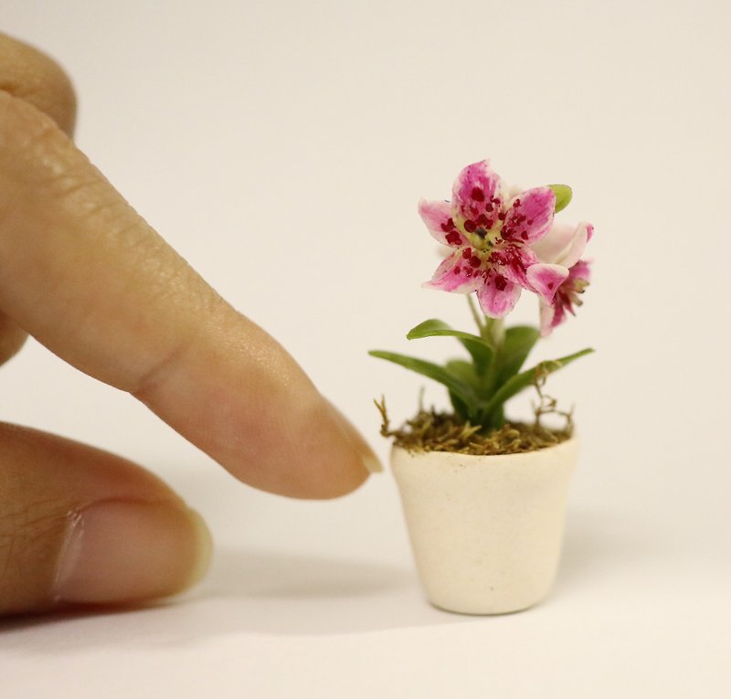 Pink Lily flower doll house, realistic plant, scale 1 12, miniature - 摆饰 - 粘土 粉红色