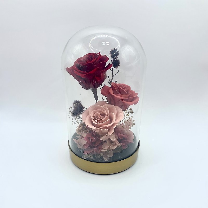 花寓质感金属玻璃永生花盅-米兰奢华时尚派对 - 干燥花/捧花 - 植物．花 