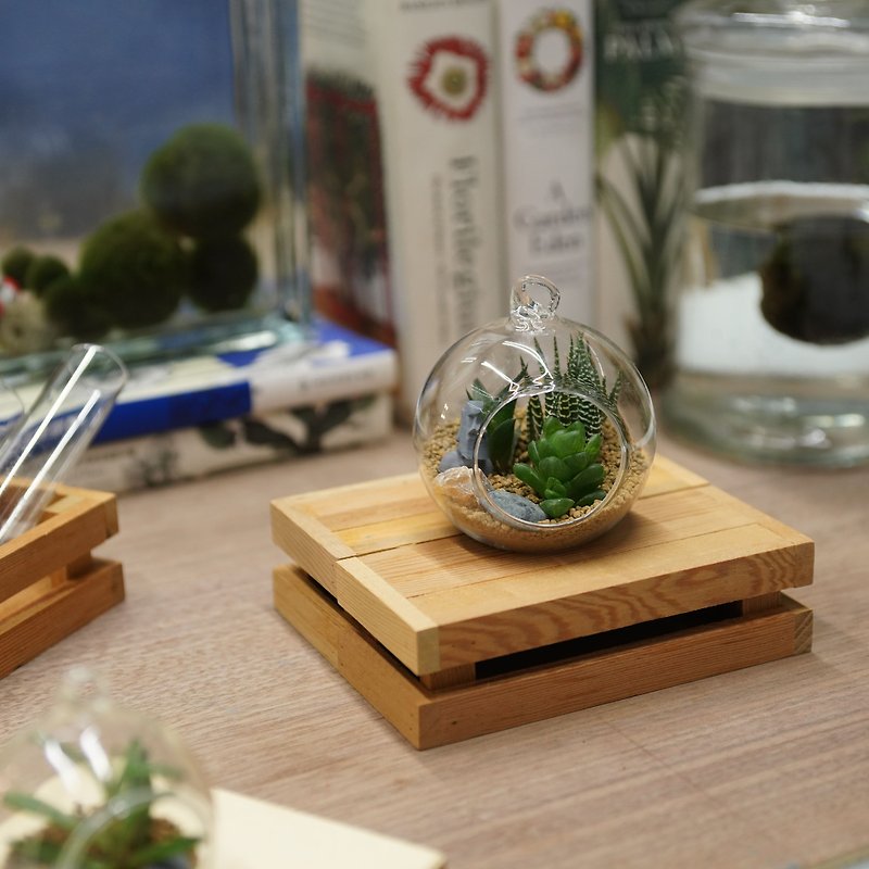 玻璃球世界 小球球版  礼物 - 植栽/盆栽 - 植物．花 透明