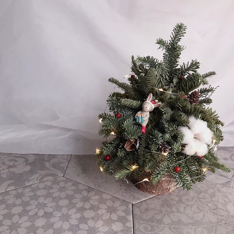 圣诞树 圣诞礼物 干燥花 交换礼物  floraflower 诺贝松 - 植栽/盆栽 - 植物．花 绿色