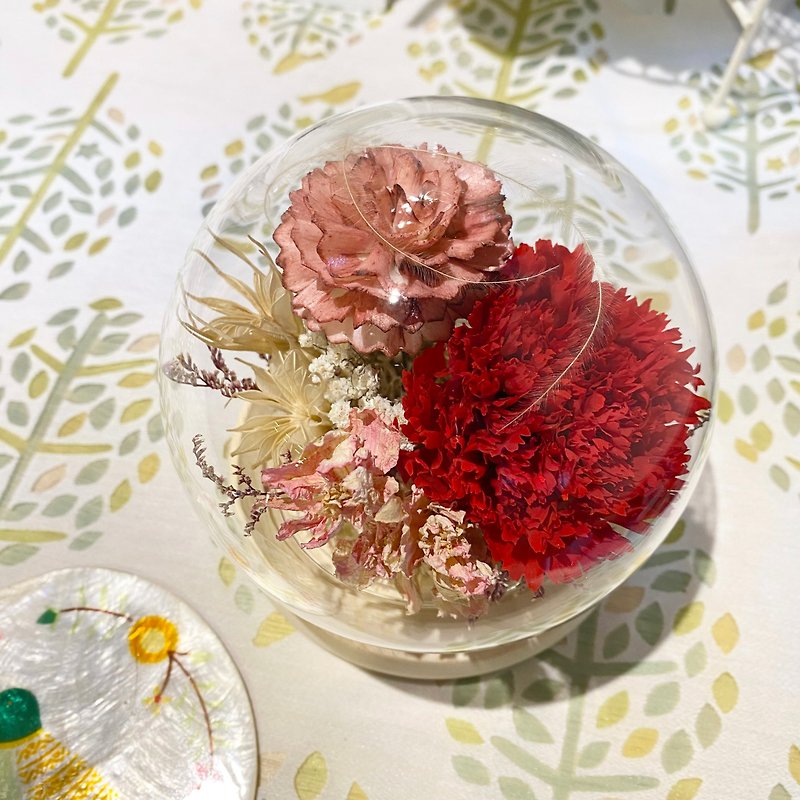 漫森态 不凋花玻璃罩 玻璃盅 康乃馨 母亲节 - 干燥花/捧花 - 植物．花 红色