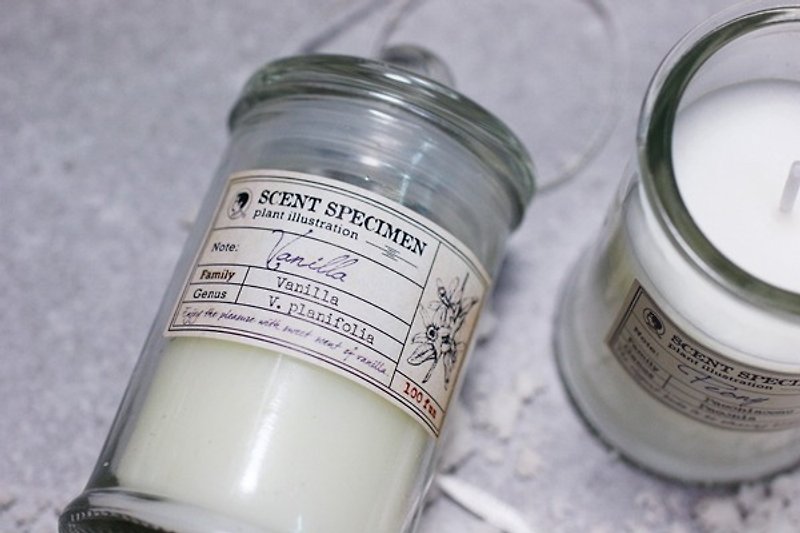 赛先生科学工厂 气味标本香氛蜡烛-法式香草 - 蜡烛/烛台 - 其他材质 