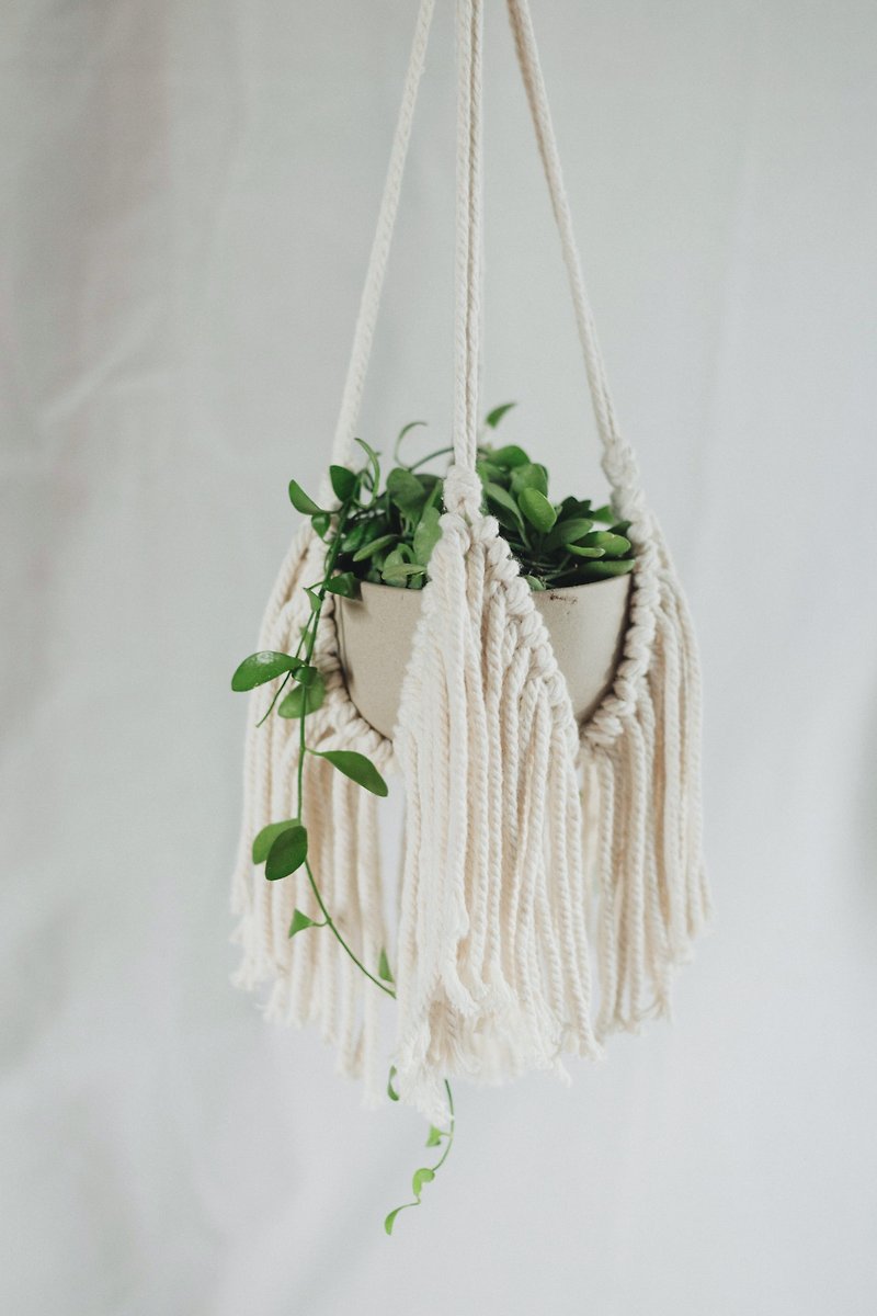 Macrame Plant Hanger / Fringy knots - 植栽/盆栽 - 棉．麻 白色
