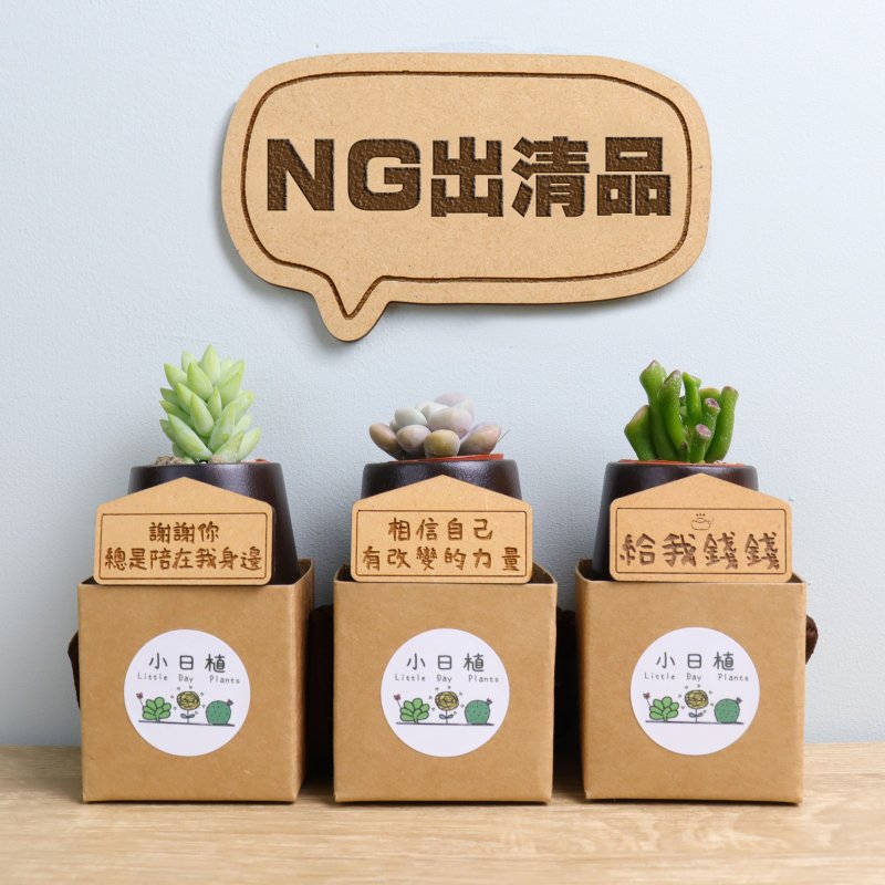 【NG品】小山木盆-多肉植物 附纸盒 婚礼 生日 圣诞 毕业 送礼物 - 植栽/盆栽 - 木头 绿色