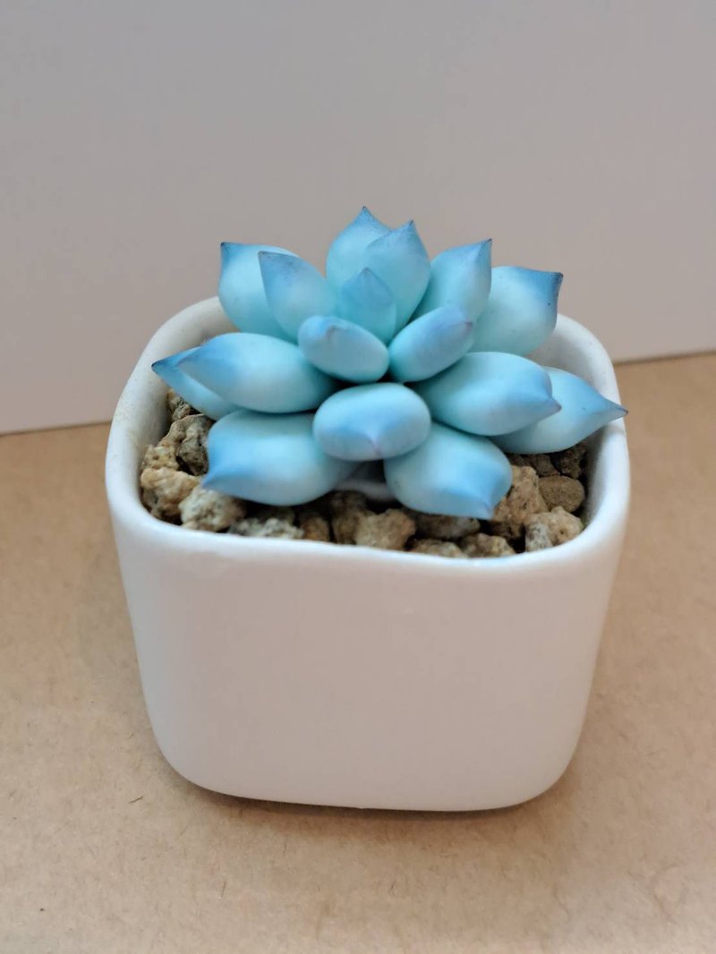 #一棵# 蓝色冰花-黏土多肉植物-手作版1 - 植栽/盆栽 - 粘土 蓝色