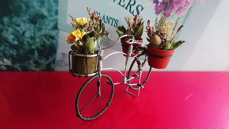 铝线脚踏车-复古淑女脚踏车/不含干燥花、盆器/附PVC包装盒 - 玩偶/公仔 - 铝合金 
