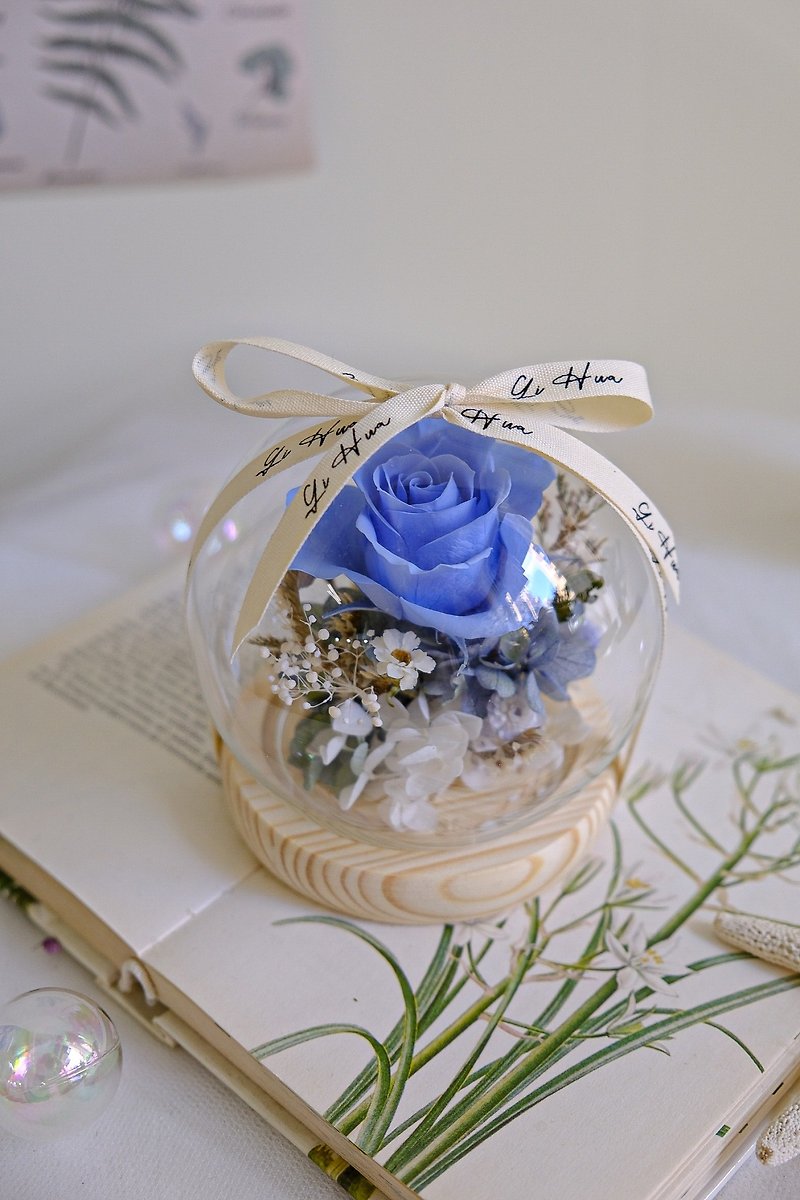 天空蓝-永生花玻璃花球 - 干燥花/捧花 - 植物．花 蓝色