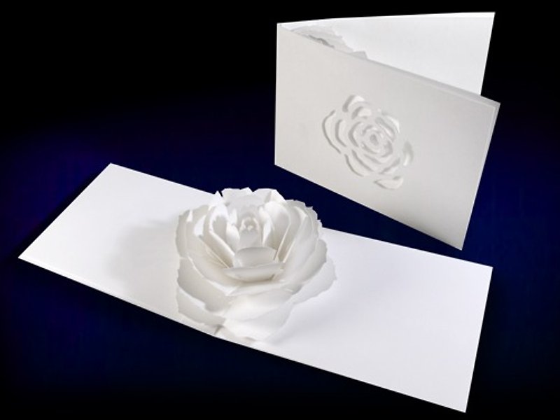 花のポップアップグリーティングカード    ローズ　forバースデー・ウェディング・母の日・卒業・お祝い・アニバーサリー - 卡片/明信片 - 纸 白色