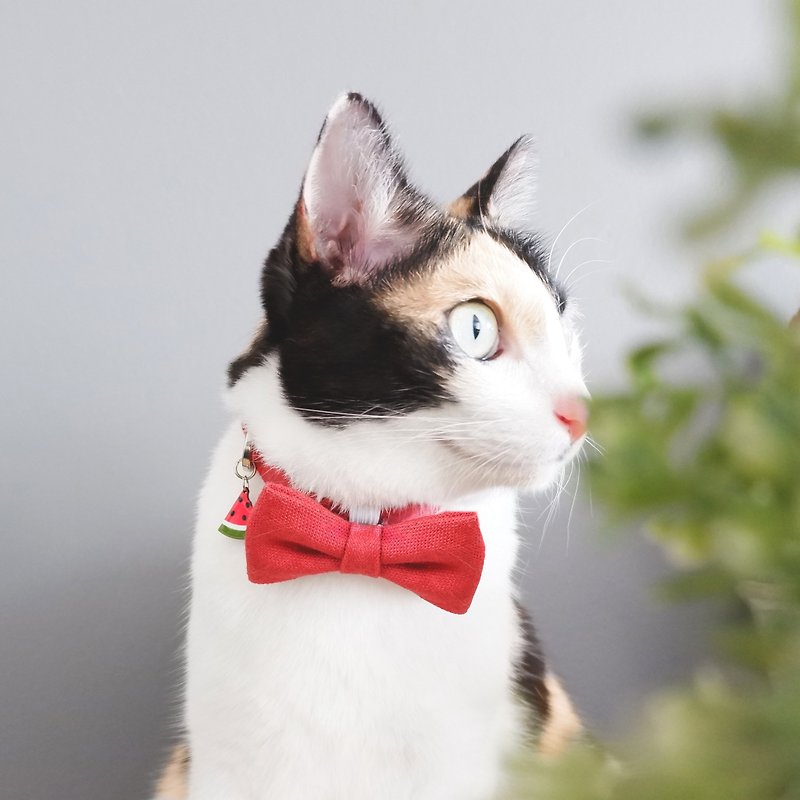Velvet - Breakaway cat cotton collar with Watermelon Charm - 项圈/牵绳 - 棉．麻 红色