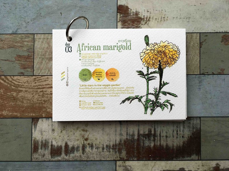 【african marigold flower 】【calendar card】【Pinkoi Xmas 2022】【ของขวัญคริสต์มาส】 - 卡片/明信片 - 纸 