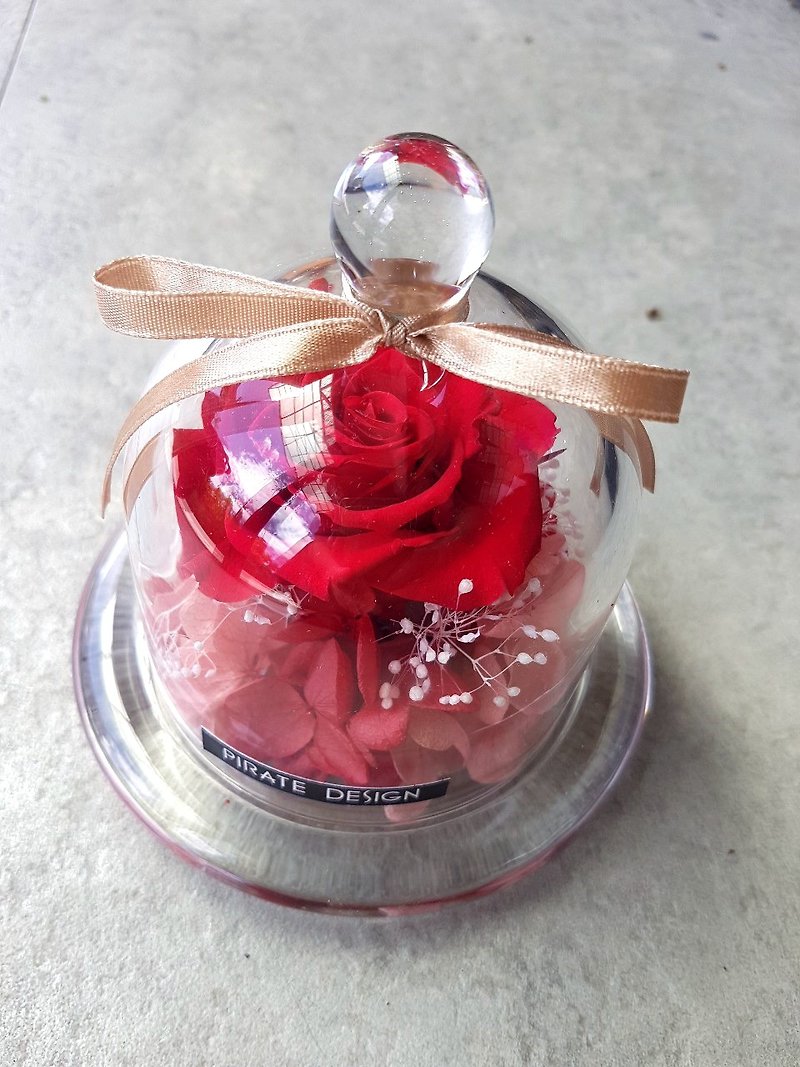 海藏设计| 经典红玫瑰。永生玫瑰玻璃花盅 /玻璃罩/生日礼/情人礼 - 摆饰 - 植物．花 红色